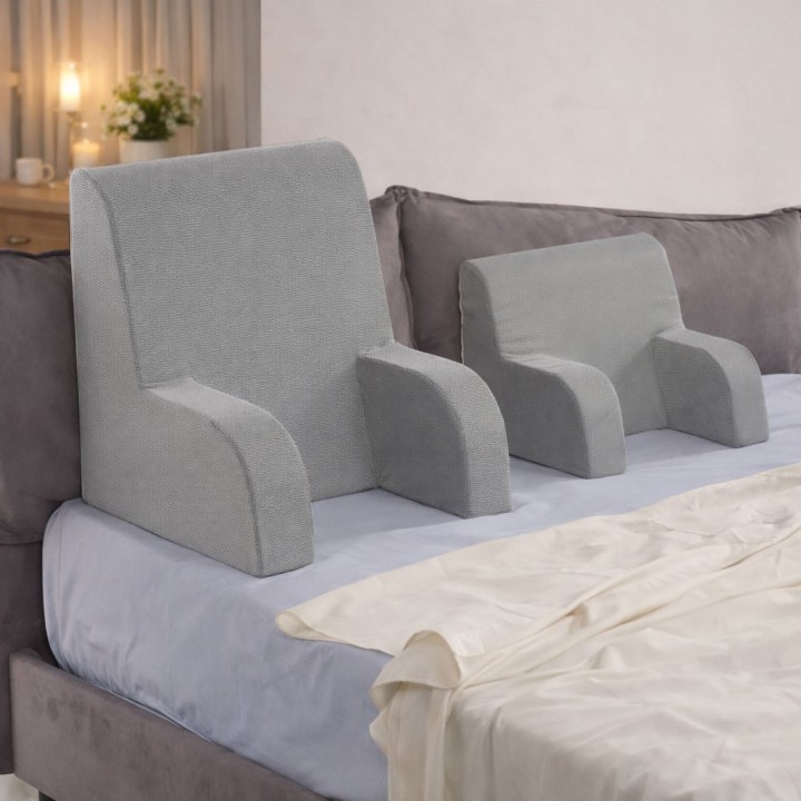 Poltrona letto sanitario, comodoni grandi e piccoli